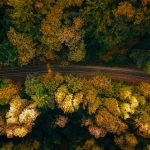 航拍 公路 森林 鸟瞰图 5K 超高清风景_图片编号336806_壁纸网